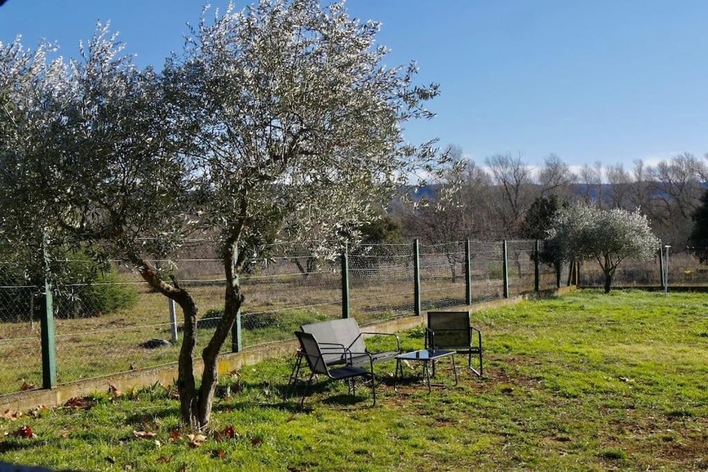 Soleil D'Ocre - Bastide A Roussillon Villa Roussillon en Isere Eksteriør bilde